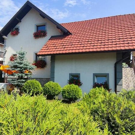 Privatni Smestaj Tesevic Zlatibor Exterior foto