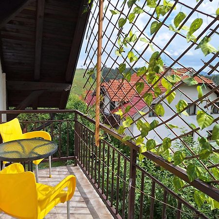 Privatni Smestaj Tesevic Zlatibor Exterior foto