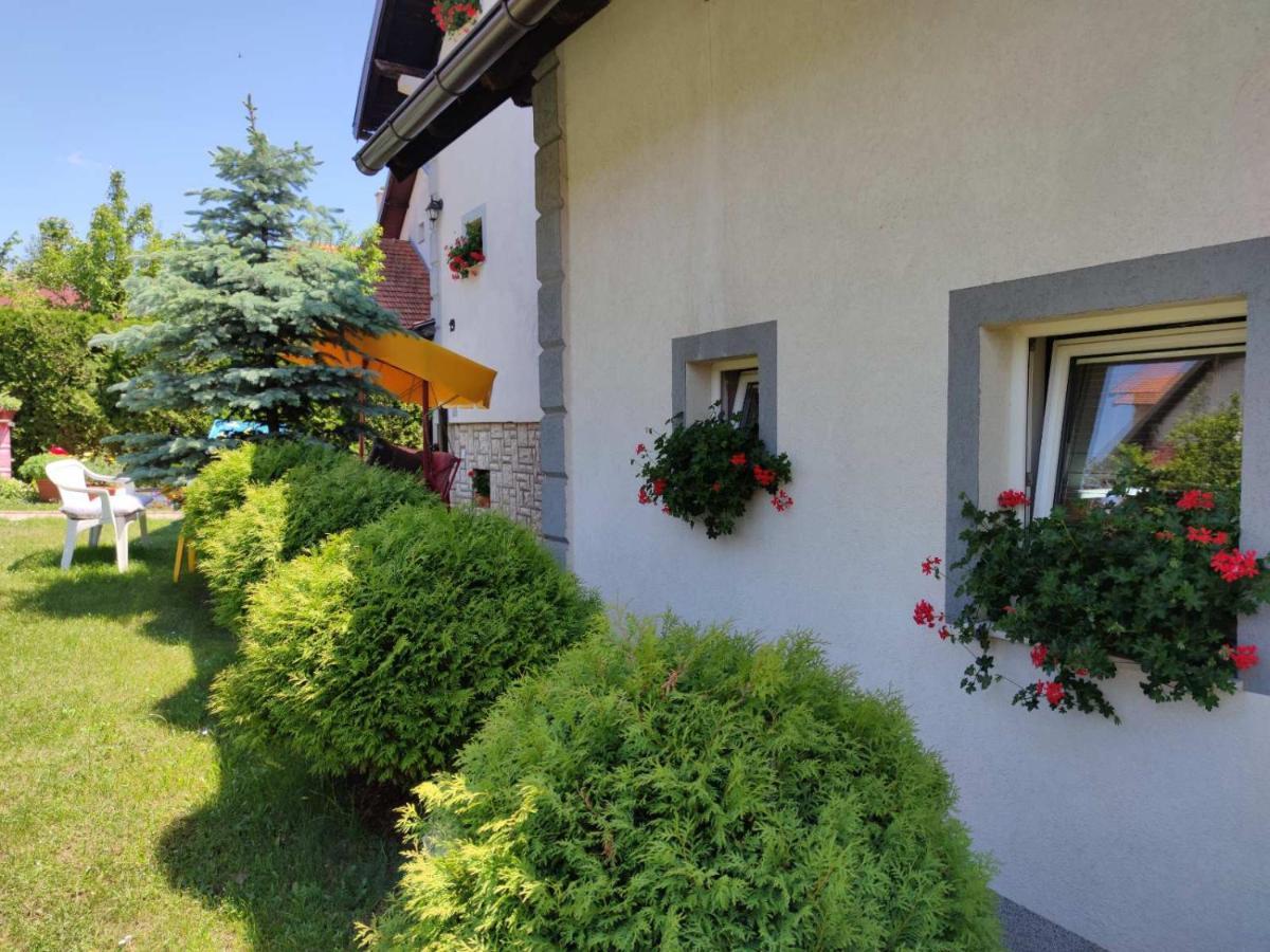 Privatni Smestaj Tesevic Zlatibor Exterior foto