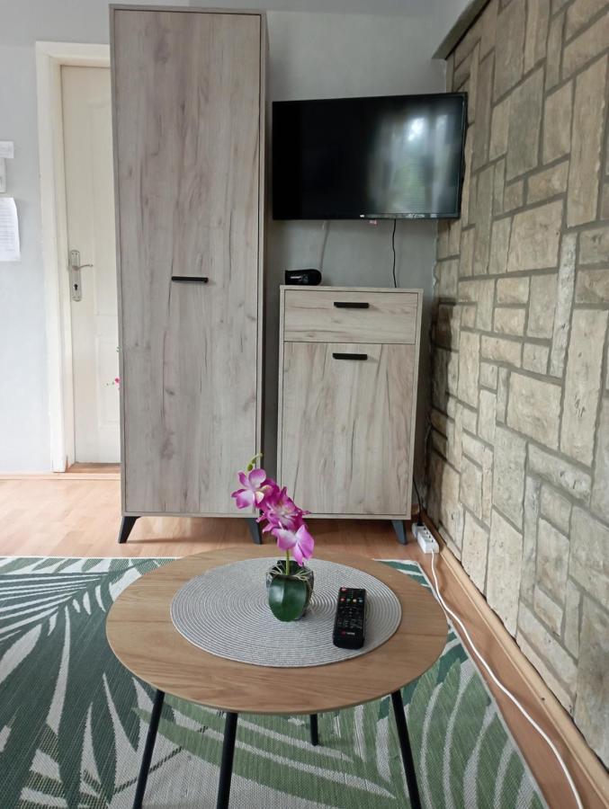 Privatni Smestaj Tesevic Zlatibor Exterior foto