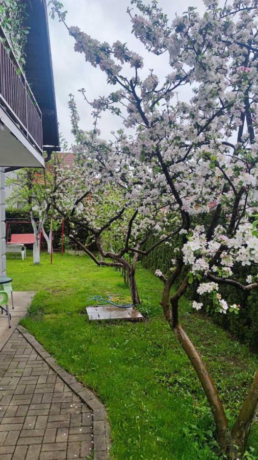 Privatni Smestaj Tesevic Zlatibor Exterior foto