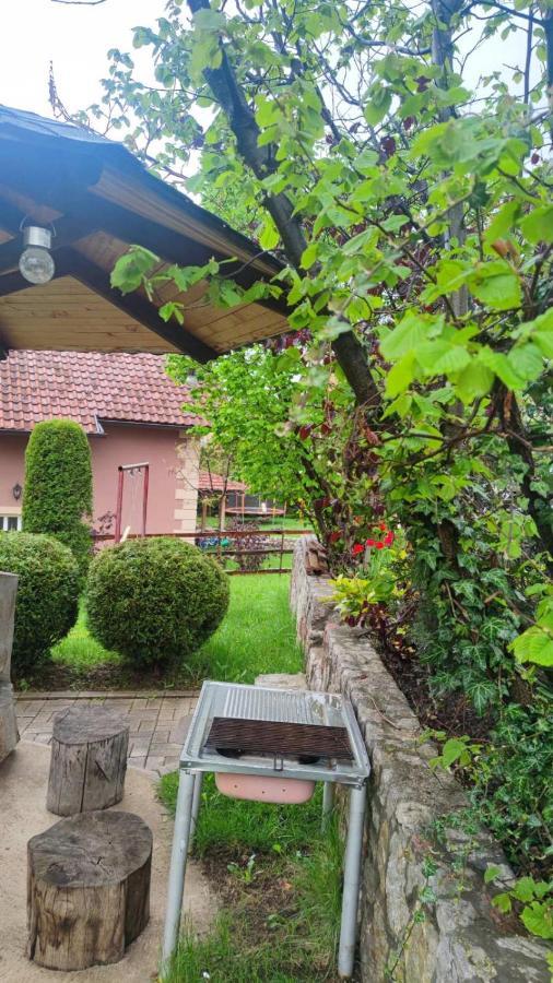 Privatni Smestaj Tesevic Zlatibor Exterior foto