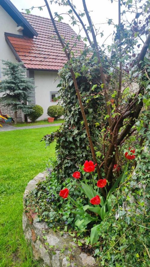 Privatni Smestaj Tesevic Zlatibor Exterior foto