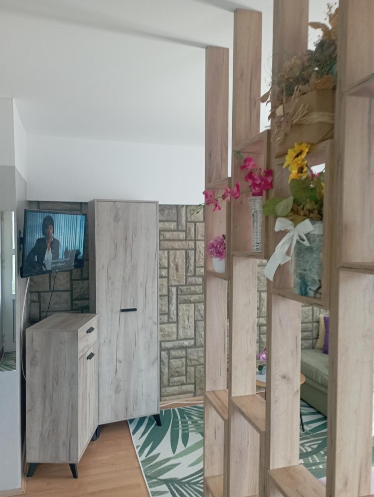 Privatni Smestaj Tesevic Zlatibor Exterior foto